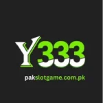 Y333 Game